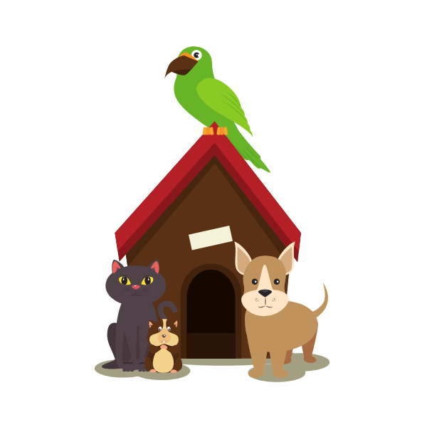 Pet &amp; Home