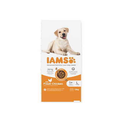 Iams Adult Large Dog with Chicken 12kg Dry Dog Food