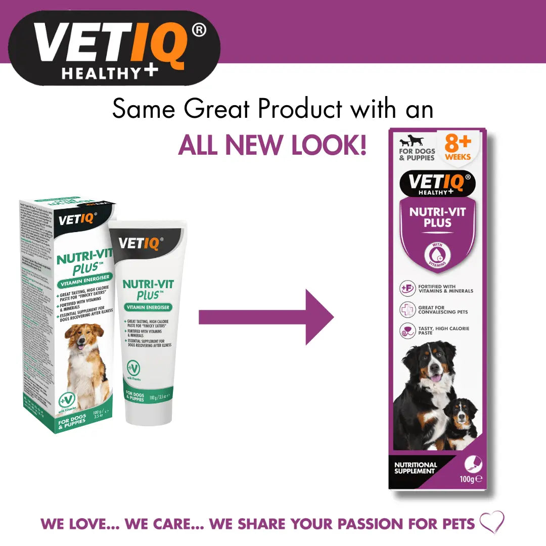 VETIQ Nutri-Vit Plus Paste Dog 100g For Puppies and Dogs